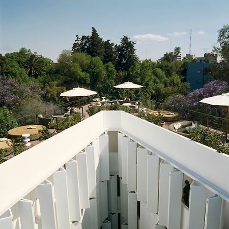 Condesa Df, Mexico City, A Member Of Design Hotels Étterem fotó