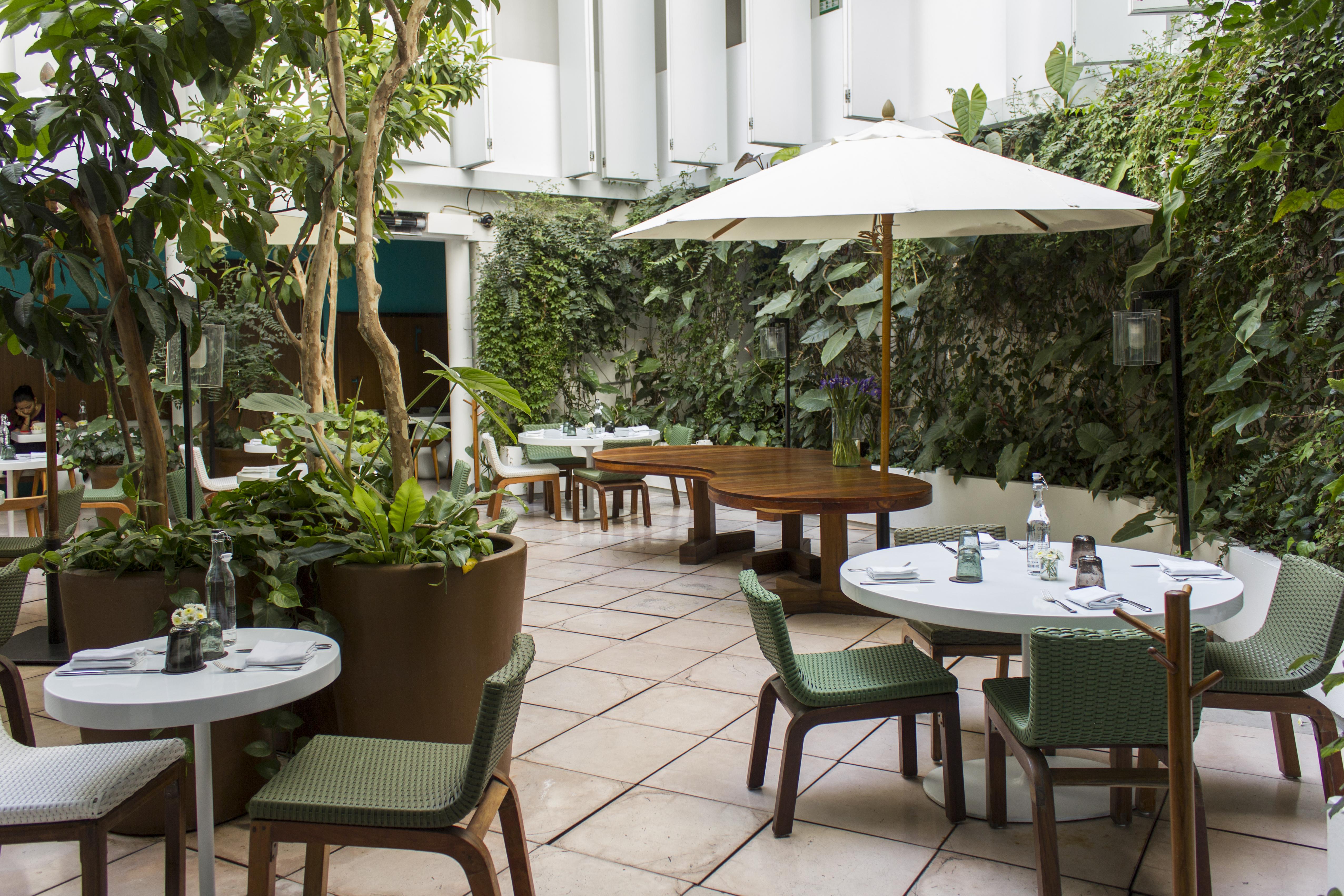 Condesa Df, Mexico City, A Member Of Design Hotels Kültér fotó
